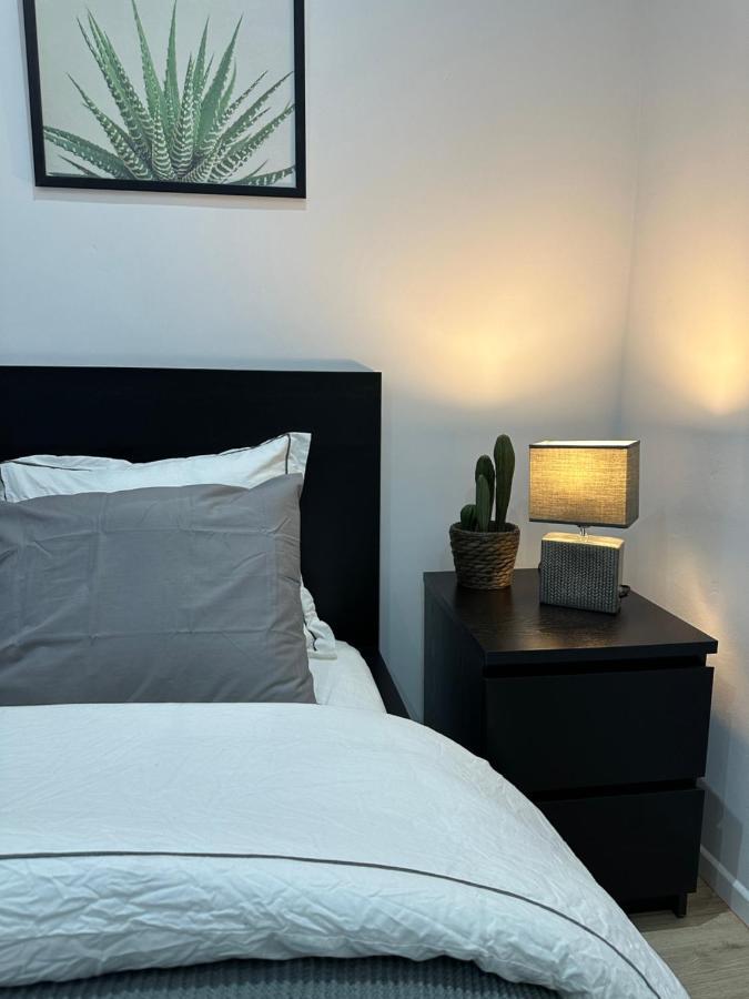 Nouveau Studio Dans Le Centre De Bruxelles 외부 사진