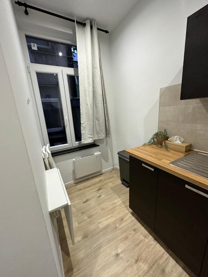 Nouveau Studio Dans Le Centre De Bruxelles 외부 사진